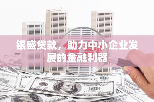 西咸银盛贷款，助力中小企业发展的金融利器