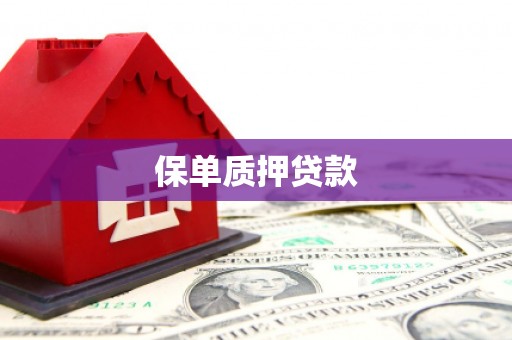 西咸保单质押贷款