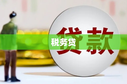 西咸税务贷