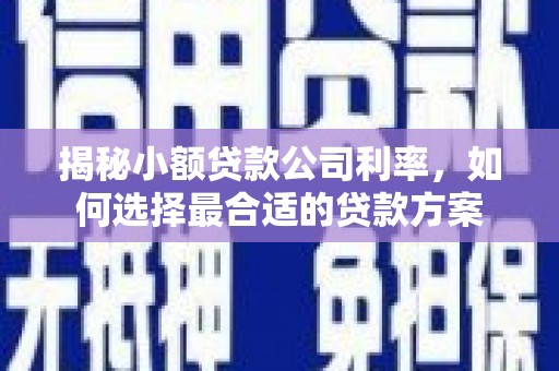 西咸揭秘小额贷款公司利率，如何选择最合适的贷款方案
