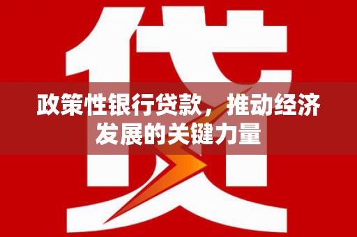 西咸政策性银行贷款，推动经济发展的关键力量