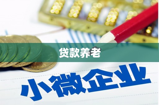 西咸贷款养老