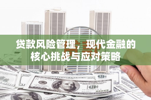 西咸贷款风险管理，现代金融的核心挑战与应对策略