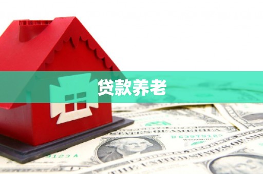 西咸贷款养老