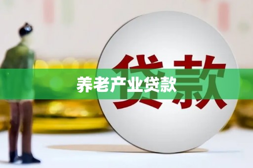 西咸养老产业贷款
