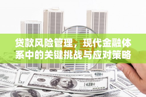 西咸贷款风险管理，现代金融体系中的关键挑战与应对策略