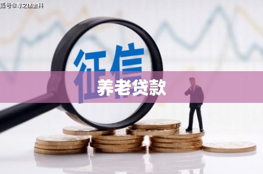 西咸养老贷款