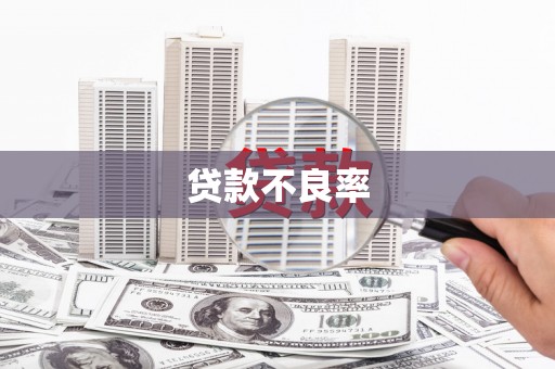 西咸贷款不良率