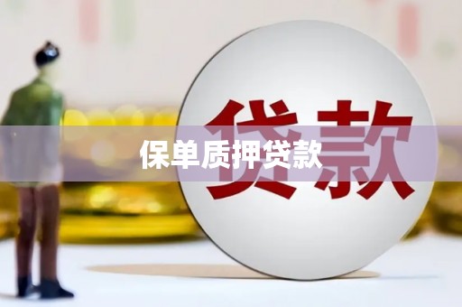 西咸保单质押贷款