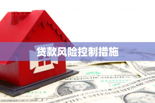 西咸贷款风险控制措施