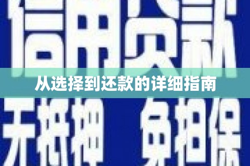 西咸从选择到还款的详细指南