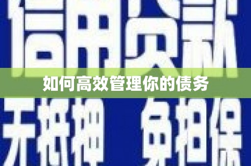 西咸如何高效管理你的债务