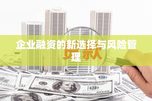 西咸企业融资的新选择与风险管理