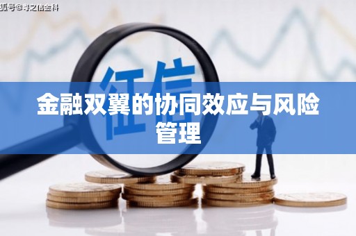 西咸金融双翼的协同效应与风险管理