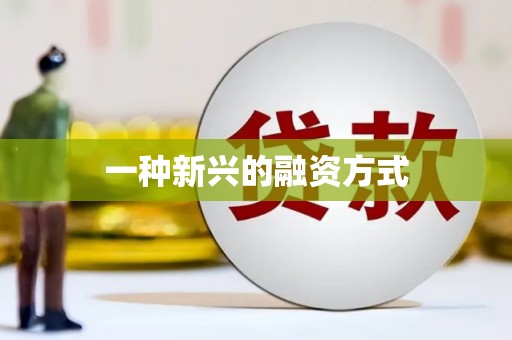 西咸一种新兴的融资方式