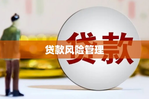 西咸贷款风险管理