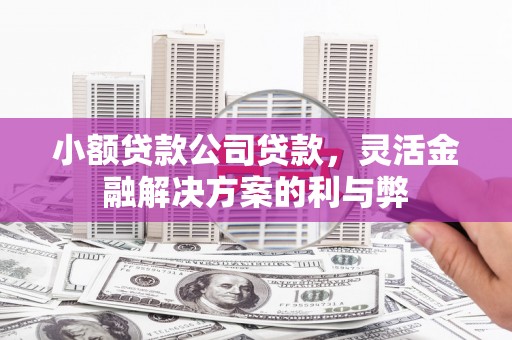 西咸小额贷款公司贷款，灵活金融解决方案的利与弊